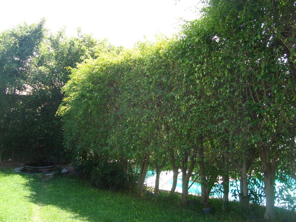 Hotel Teques Inn Tequesquitengo Bagian luar foto
